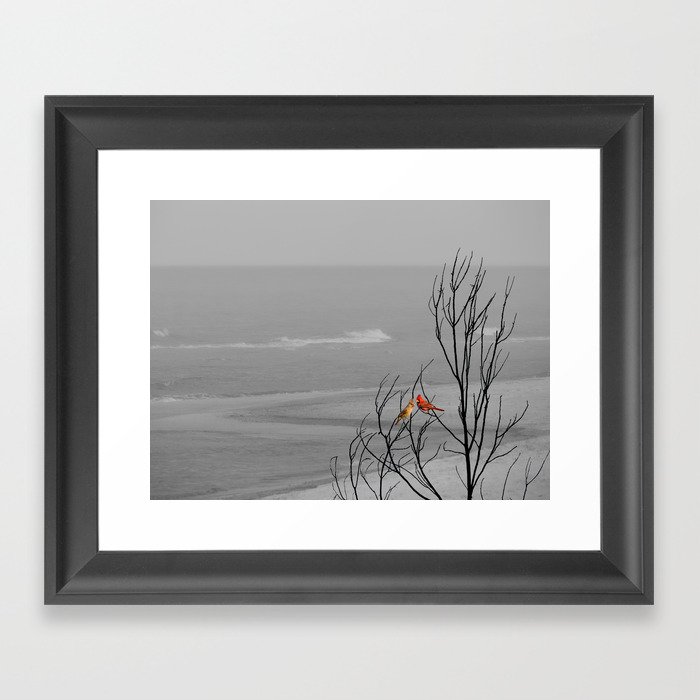 Red Cardinal Birds Black and White Beach Coastal A195 Framed Art Print