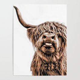Funny Higland Cattle Poster