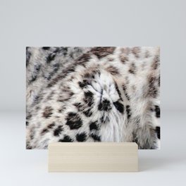 Snow Leopard Mini Art Print