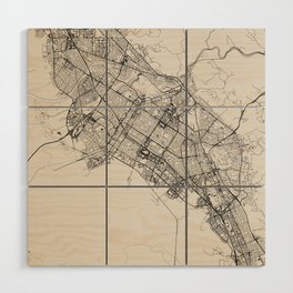 USA, Fremont Black&White City Map Wood Wall Art