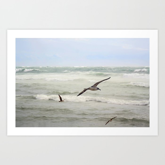 Seagulls flying over rough sea Art Print