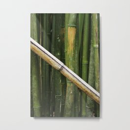 Bamboo Metal Print