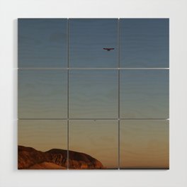 Malibu Flyover Wood Wall Art