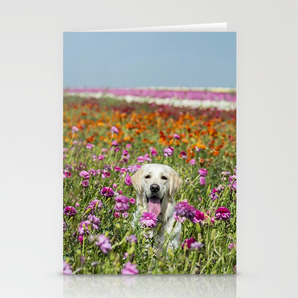 Golden Retriever Field Flowers  Stationery Cards