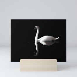 Swan Reflection Mini Art Print