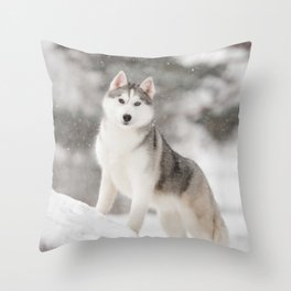 Siberian Husky Winter On Snow  Throw Pillow