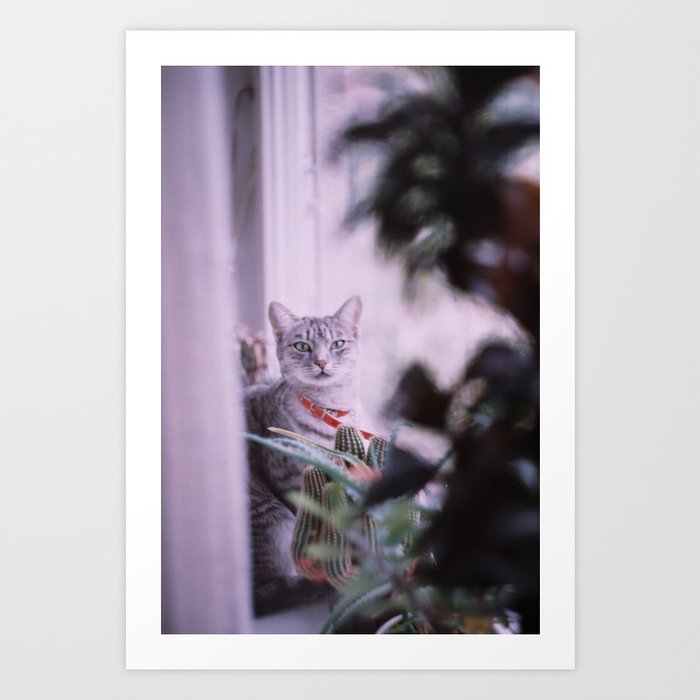Portrait of a cat Art Print
