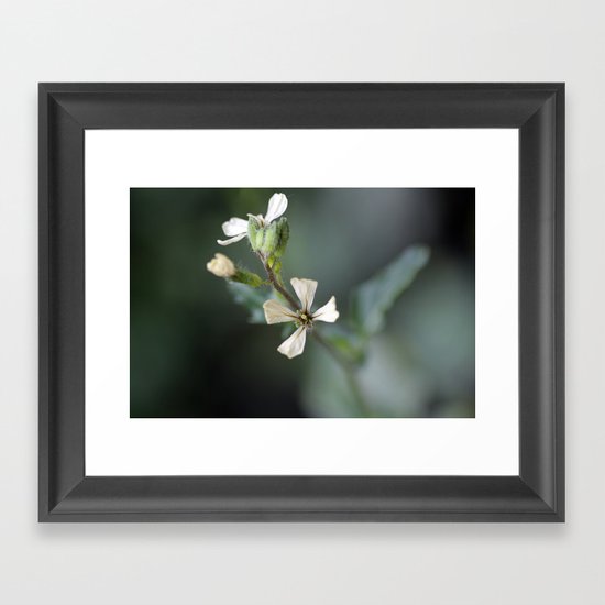 Gentle Soul Framed Art Print
