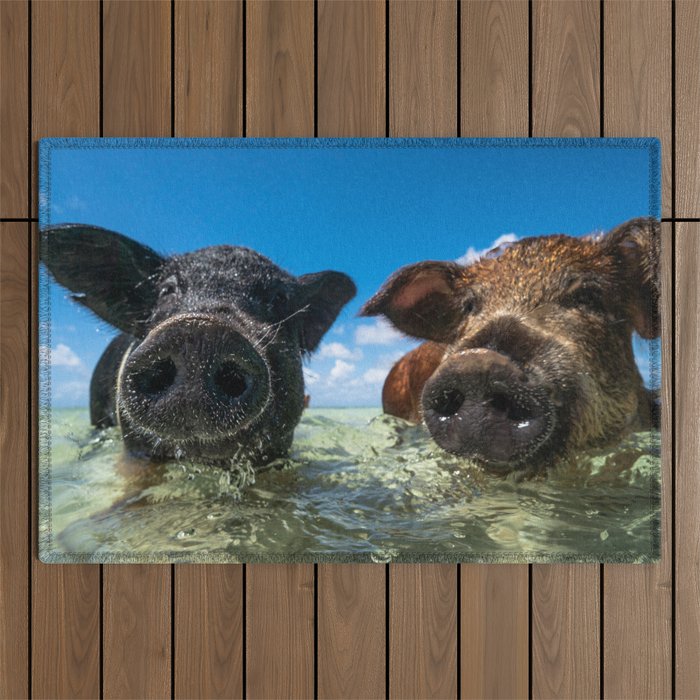 Bahamas Pigs Outdoor Rug