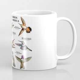 Hummingbirds of North America Mug
