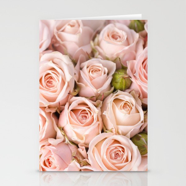 Blush Pink Roses Stationery Cards