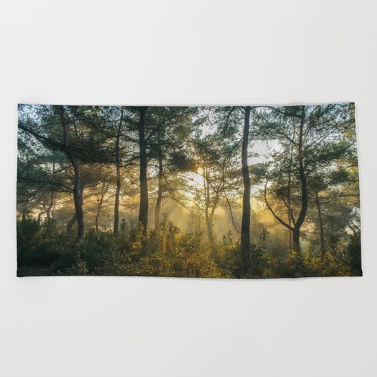 Great Awakening Beach Towel