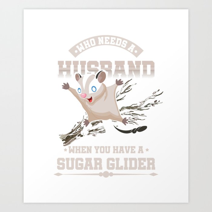 What Is The Difference Between A Sugar Glider And A Flying Squirrel
