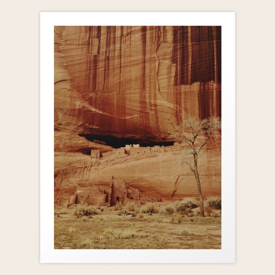 White House Ruins Art Print