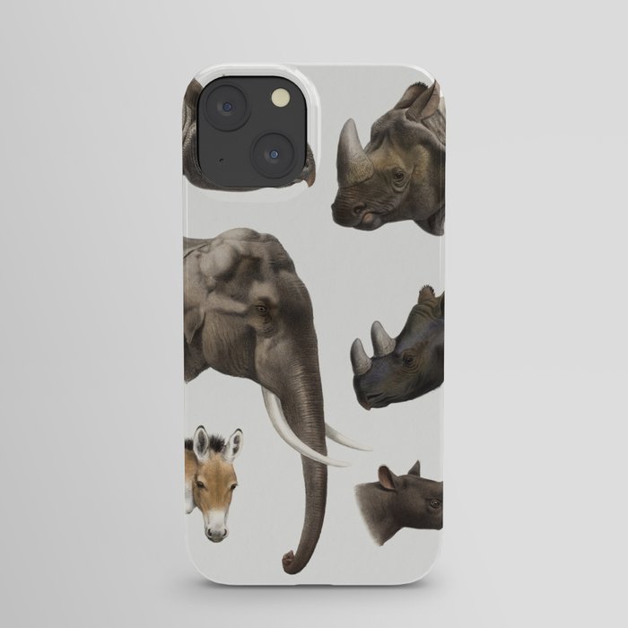 The Great and Small Game of India, Burma, & Tibet iPhone Case