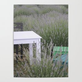 Table For Three In A Lavender Field Photography Poster