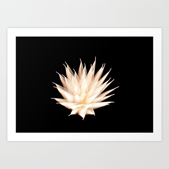 Efflorescence 25 Art Print