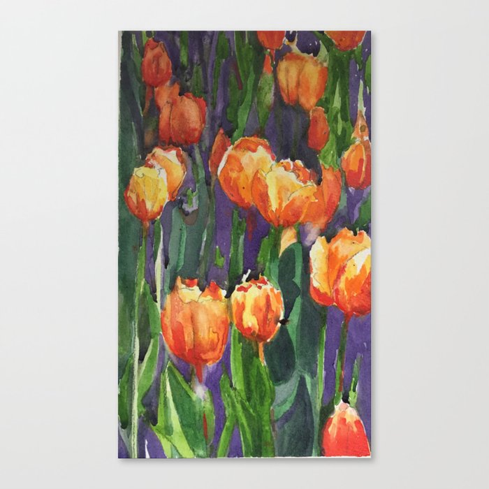 Holland Tulips! Canvas Print