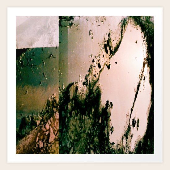 Pond Art Print