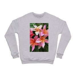 Blossom Wreath Of Pale Pink Frangipani Crewneck Sweatshirt