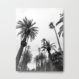 Black and White Palm Trees Metal Print