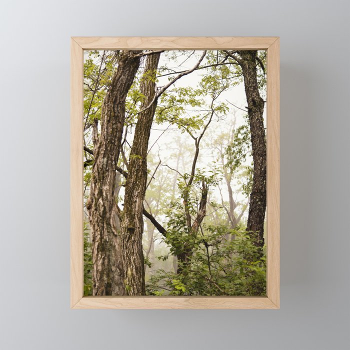 Wander Gently Framed Mini Art Print