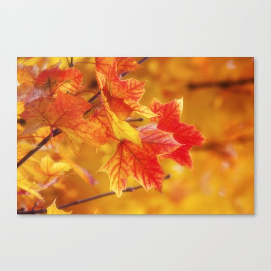 Colorful Leaves Canvas Print