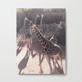 Giraffe Strut // Spotted Long Neck Graceful Creatures in Wildlife Preserve Metal Print | Nature Nursery Lil, African Safari Idea, Themes Of The And, Artwork Decor New, Circus Theme Animal, Photo, Cheetah Childrens, Silly Cute Fun Funny, Boys Girls Girl Boy, Wildlife Wild Zoo 
