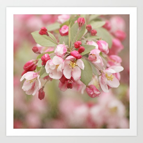 Serendipity Art Print