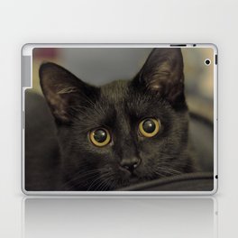 black cat Laptop & iPad Skin