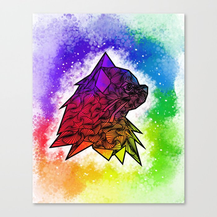 Nyanya's Rainbow Canvas Print