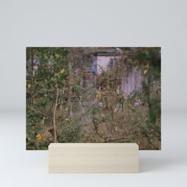 mysterious garden 6 Mini Art Print