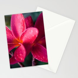 Plumeria Pink Pua Melia ke Aloha Maui Stationery Card
