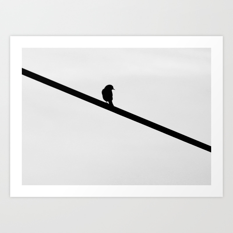 Blue Bird On A Wire Art Print By Wandering Aesthetician Society6