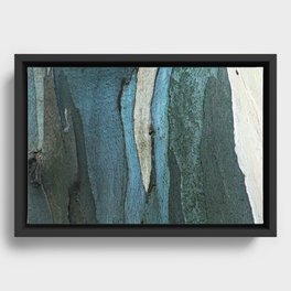 Eucalyptus Tree Bark and Wood Abstract Natural Texture 34 Framed Canvas