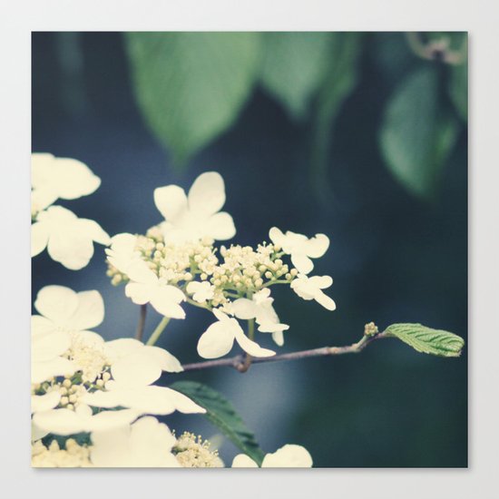 floral Canvas Print