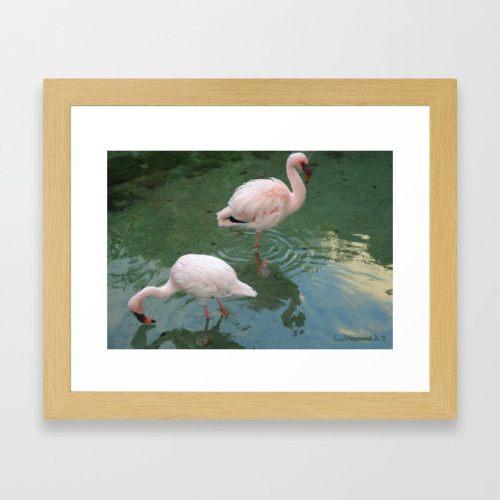 Flamingo Love Framed Art Print