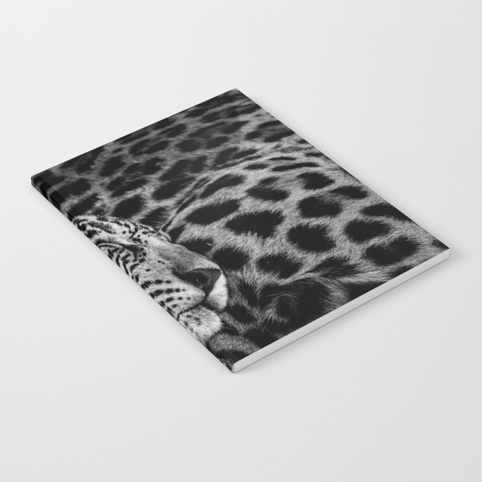 Jaguars Notebook