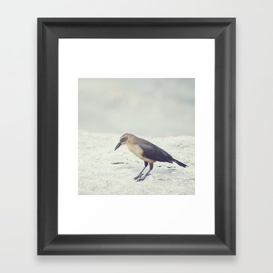 Little Bird I Framed Art Print