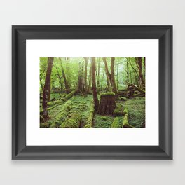 Mossy Forest Framed Art Print