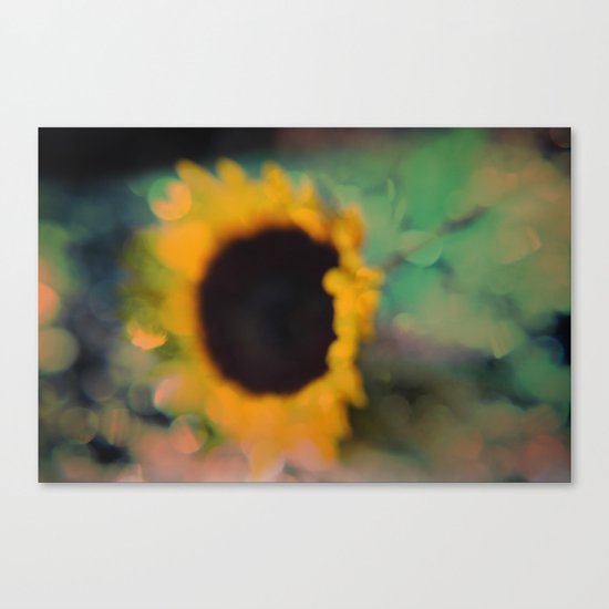 Sunflower III (mini series) Canvas Print