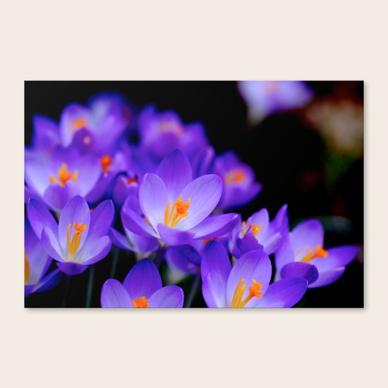 Reach Canvas Print