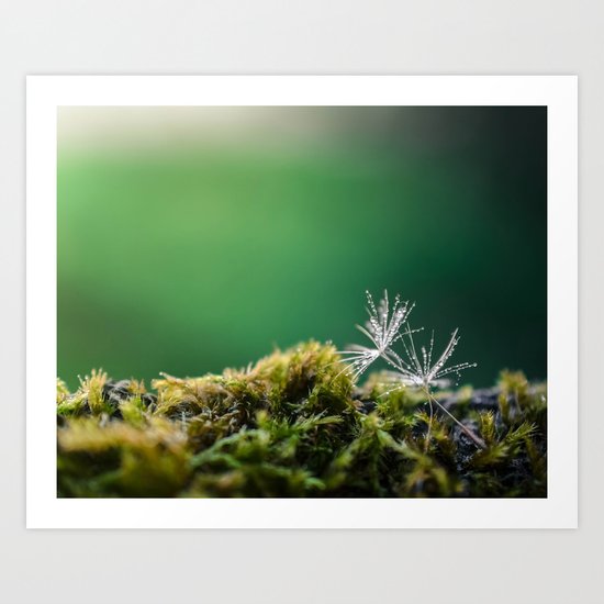 Dandelion Moist Art Print
