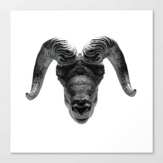 Big Horn Canvas Print