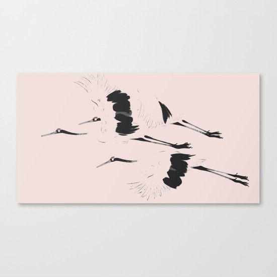 Pink Crane take flight Canvas Print