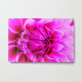 Pink Petals Metal Print | Petals, Flower, Photo, Pink, Digital, Macro, Dahlia, Vhsphotography, Vickispindler 