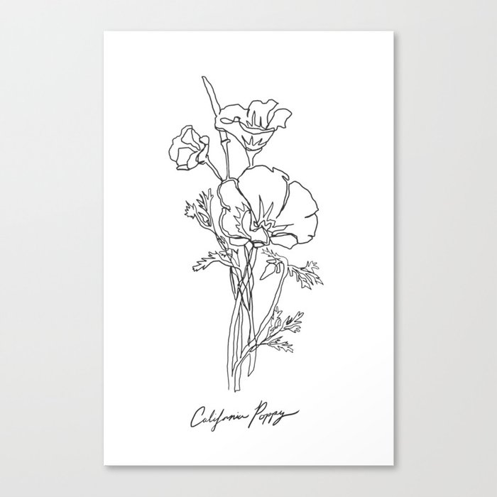 California Poppy Botanical Minimalist Line Art Canvas Print By
