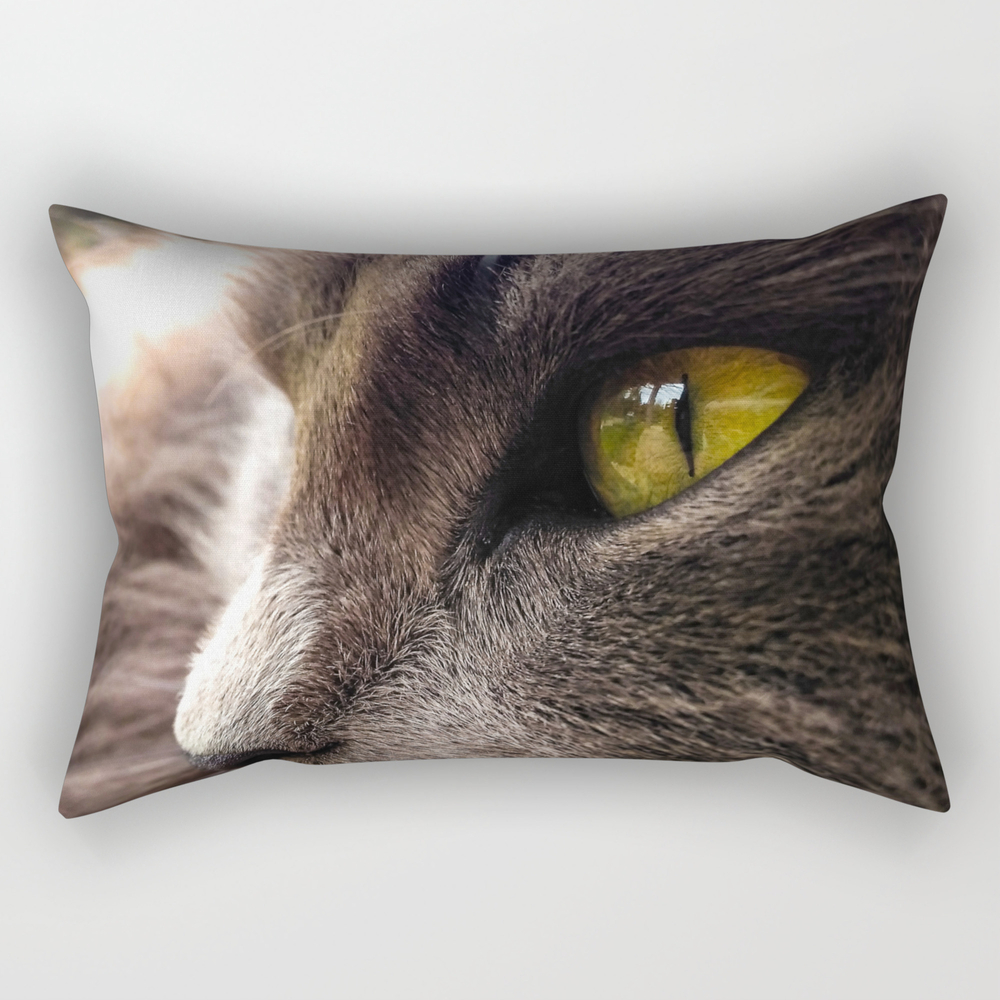 Eye Of The Tiger Rectangular Pillow by cptskymarvel
