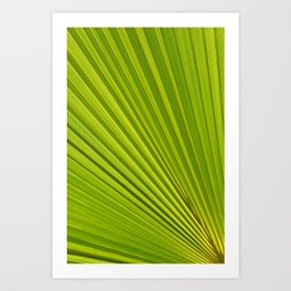 Palm leaf and Mediterranean sunlight 2 Art Print