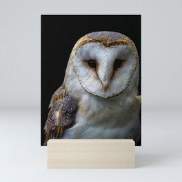 Barn owl Mini Art Print